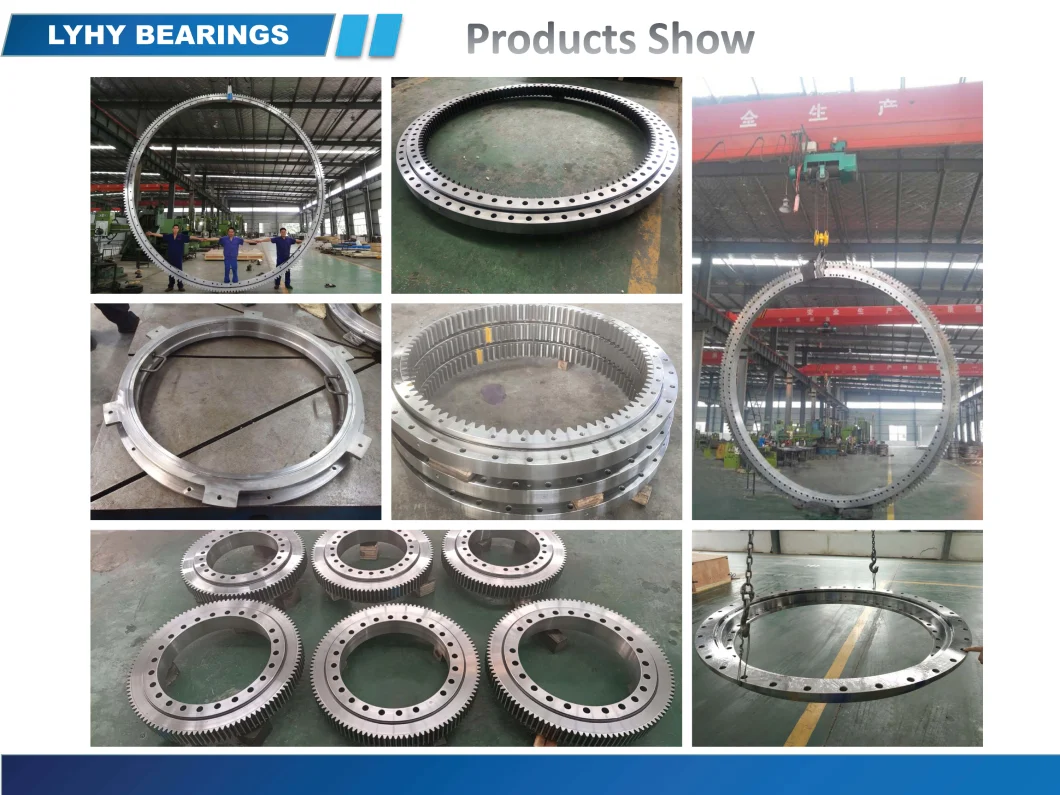 Split Slewing Bearing Slewing Ring Bearing for Water Processing Equipment